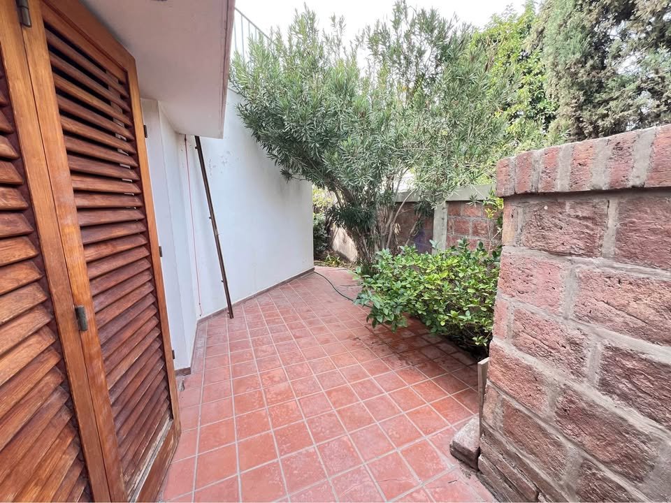 527740071 1264206195403366 549528507614449046 n