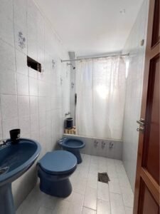 529298054 609869325250051 4902200394962766260 n