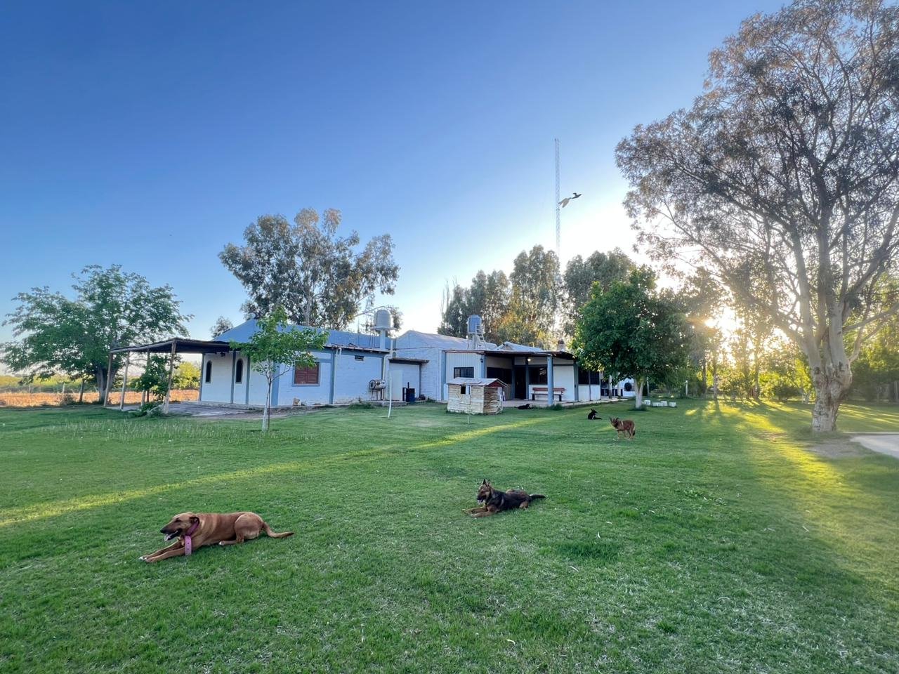 whatsapp image 2025 10 09 at 21.50.53 (1)