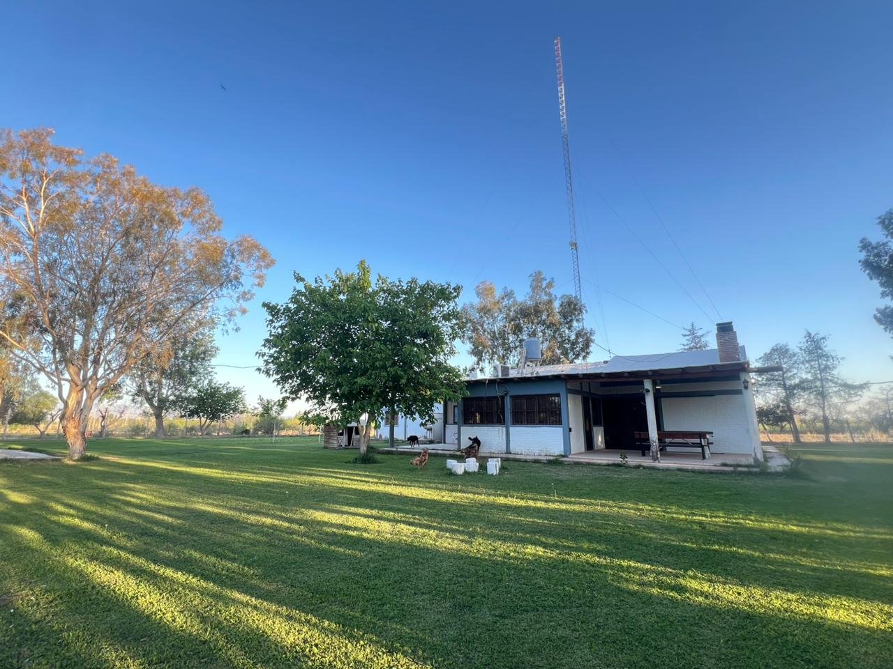 whatsapp image 2025 10 09 at 21.50.53 (3)