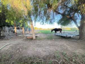 whatsapp image 2025 10 09 at 21.50.53