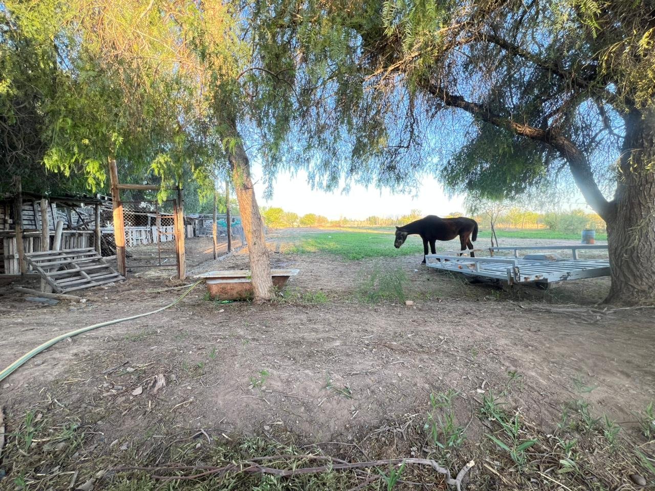 whatsapp image 2025 10 09 at 21.50.53