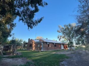 whatsapp image 2025 10 09 at 21.50.54 (2)