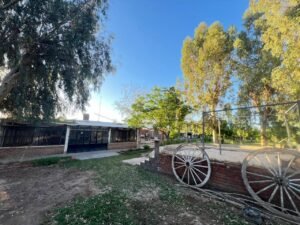 whatsapp image 2025 10 09 at 21.50.54 (3)